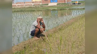 बक्सर में बारिश की बेरुखी से धान की रोपनी पर संकट, ट्यूबवेल के सहारे खेत बचा रहे किसान