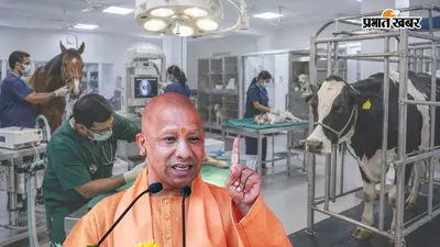 UP में खुलेंगे हाईटेक पशु अस्पताल, डिजिटल एक्स-रे, ऑपरेशन थिएटर समेत मिलेंगी आधुनिक सुविधाएं