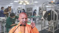 UP में खुलेंगे हाईटेक पशु अस्पताल, डिजिटल एक्स-रे, ऑपरेशन थिएटर समेत मिलेंगी आधुनिक सुविधाएं