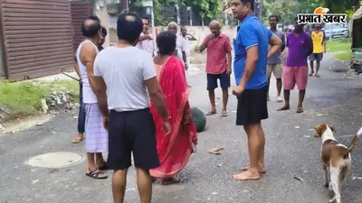 पटना में आवारा कुत्तों पर नकेल, 11 माह में 11 हजार से अधिक कुत्तों की नसबंदी, लोगों के विरोध से धीमा पड़ा अभियान