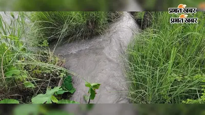 अवैध आउटलेट से गंडक नहर का पानी खेतों में फैला, धान की फसल और बगीचों को भारी नुकसान
