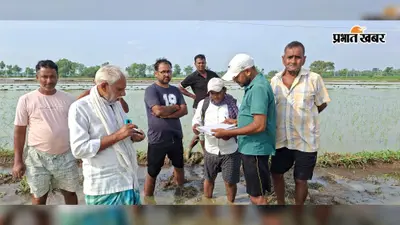 औरंगाबाद : ओबरा के उकुरमी गांव में बारिश के मौसम में शुरू हुआ जमीन सर्वे, किसानों और अमीनों को हो रही है परेशानी