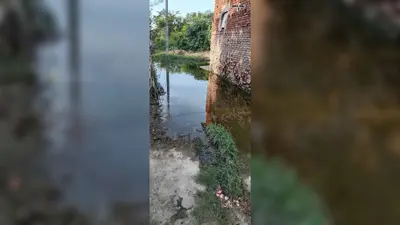 औरंगाबाद के पंचहरा स्कूल का रास्ता बना दलदल, गंदे पानी से होकर स्कूल जाने को मजबूर बच्चे