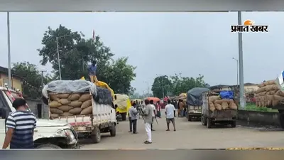 फिर चमका मक्का, गेहूं की कीमतों में तेजी बरकरार; देखें आज के मंडी भाव