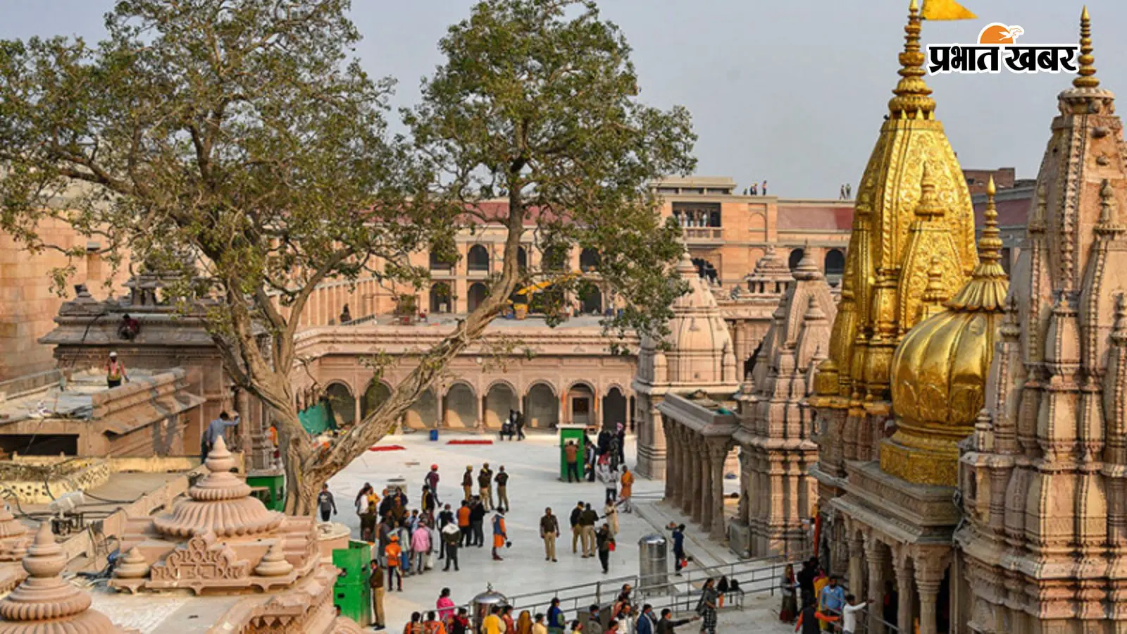 काशी विश्वनाथ मंदिर काशी विश्वनाथ मंदिर