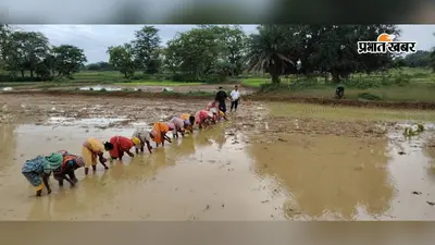 खूंटपानी में रोपा विधि से धान की रोपाई शुरू, खेत में उतरकर बीटीएम ने किसानों को दी खेती की जानकारी