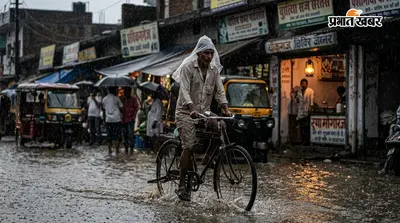 झमाझम बारिश से मौसम हुआ खुशनुमा, खेतों में लौटी हरियाली; धान की फसल के लिए साबित हुई 'संजीवनी'
