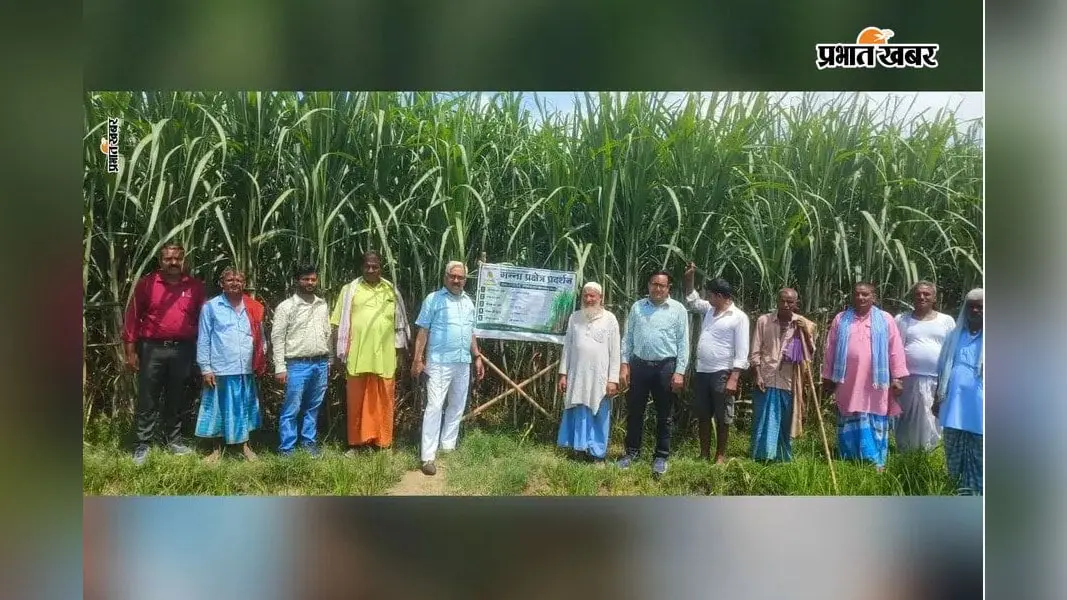 लहलहाती फसल को देख खुश हुए किसान, फोटो- प्रभात खबर लहलहाती फसल को देख खुश हुए किसान, फोटो- प्रभात खबर