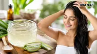 बालों को देना है परफेक्ट स्टाइल? सिर्फ 5 मिनट में घर पर बनाएं नेचुरल हेयर जेल, जानें इस्तेमाल का सही तरीका