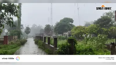 सूख रहे खेतों पर बरसे बादल, बारिश के बाद धान की खेती को मिली बड़ी राहत