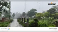 सूख रहे खेतों पर बरसे बादल, बारिश के बाद धान की खेती को मिली बड़ी राहत