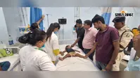 गोपालगंज में कोबरा के डंसने से दो साल के मासूम की मौत, बिल में हाथ डालने के दौरान हादसा