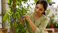 घर में अपराजिता का पौधा लगाने की सोच रहे हैं? पहले जान लें ये 5 जरूरी बातें, तभी मिलेगा शुभ फल