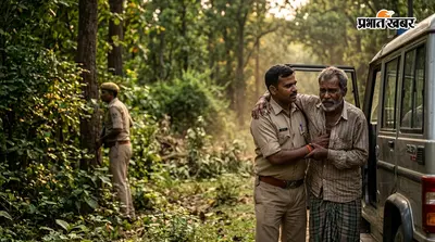 वाल्मीकिनगर: वनकर्मी की जांबाजी से बची अधेड़ की जान, बाघ से भिड़कर अकलू यादव को सुरक्षित निकाला