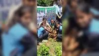 प्राण वायु संकल्प यात्रा के तहत विद्यार्थियों ने किया पौधरोपण, पर्यावरण संरक्षण का दिया संदेश
