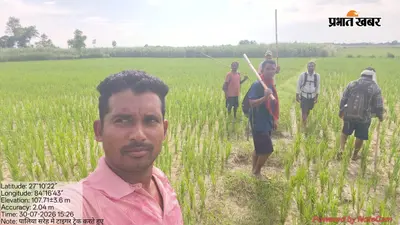 गन्ने के खेत में घुसा बाघ, मजदूर और चरवाहे भागे, गांवों में दहशत का माहौल