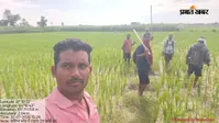 गन्ने के खेत में घुसा बाघ, मजदूर और चरवाहे भागे, गांवों में दहशत का माहौल
