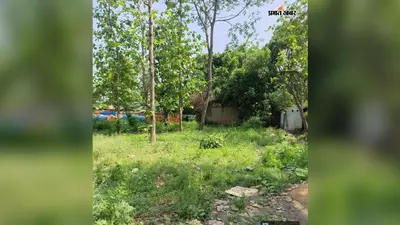 बेगूसराय में स्थापित होगा अत्याधुनिक मखाना प्रोसेसिंग यूनिट, बियाडा ने आवंटित की भूमि