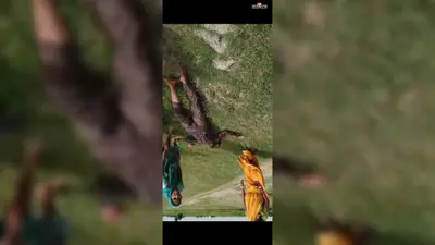 कोसी नदी में बाइक समेत गिरे शिक्षक, नाविकों और ग्रामीणों की बहादुरी से बची जान