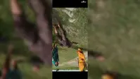 कोसी नदी में बाइक समेत गिरे शिक्षक, नाविकों और ग्रामीणों की बहादुरी से बची जान