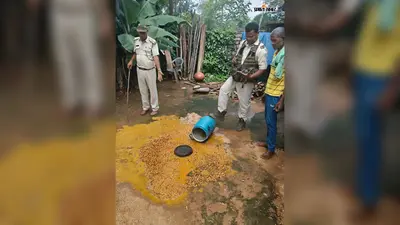 सिमडेगा पुलिस की बड़ी कार्रवाई, 957 किलो जावा महुआ और 30 लीटर महुआ शराब नष्ट