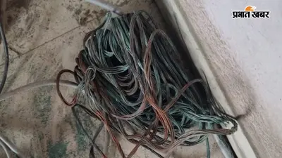 बिहटा में पावर ग्रिड से चोरी किया गया तांबे का तार बरामद, एक आरोपित गिरफ्तार