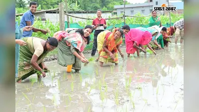 हाजीपुर:बिदुपुर में डीएम वर्षा सिंह ने खेत में उतरकर की धान की रोपनी, प्राकृतिक खेती को दिया बढ़ावा