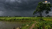 Bihar Rain Alert: बिहार के इन 25 जिलों में आंधी-तूफान के साथ बारिश की चेतावनी, बिजली गिरने की भी संभावना