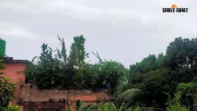 सावन शुरू होते ही बदला पूर्णिया का मौसम: आज झमाझम बारिश के आसार, IMD ने जारी किया 4 दिनों का येलो अलर्ट