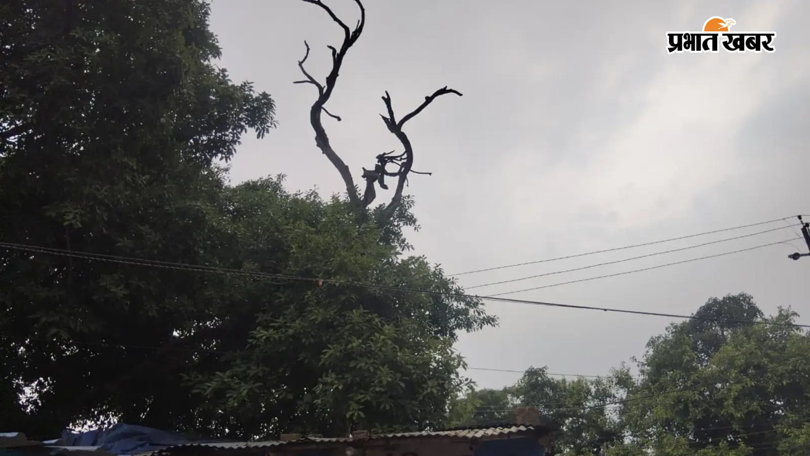 मौसम की तस्वीर. मौसम की तस्वीर.