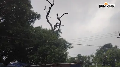 अब बदलेगा मौसम का मिजाज, बादलों के बीच से निकलेगी धूप, बढ़ेगा तापमान, किसानों के लिए जारी हुई सलाह