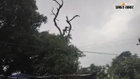 अब बदलेगा मौसम का मिजाज, बादलों के बीच से निकलेगी धूप, बढ़ेगा तापमान, किसानों के लिए जारी हुई सलाह