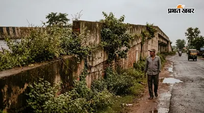 देखरेख के अभाव में NH-327E ओवर ब्रिज बना 'झाड़ियों का घर', दीवारों के जोड़ों में उगे पौधे दे रहे बड़े खतरे को न्योता