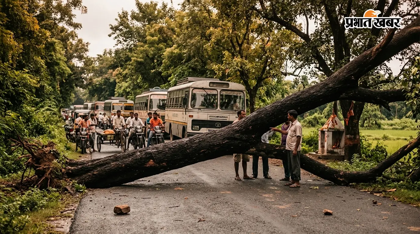 चकिया: पेड़ गिरा, मार्ग बाधित, एक घायल चकिया: पेड़ गिरा, मार्ग बाधित, एक घायल