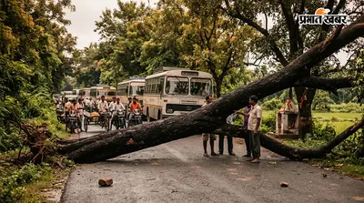 चकिया: घंघटी माई स्थान के पास सड़क पर गिरा विशाल पेड़, आधे घंटे तक केसरिया रोड रहा जाम