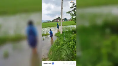 घुटने भर पानी पार कर स्कूल पहुंचने को मजबूर बच्चे, रोहतास के मध्य विद्यालय लोहारा का रास्ता बेहाल