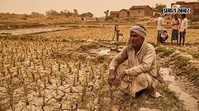 आषाढ़ बीता, सावन भी सूखा... बारिश नहीं होने से कमतौल में धान की खेती पर संकट