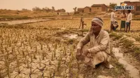 आषाढ़ बीता, सावन भी सूखा... बारिश नहीं होने से कमतौल में धान की खेती पर संकट