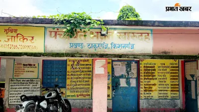 सरकारी दावों की खुली पोल, खारुदाह पंचायत भवन की छत पर उगी झाड़ियां; उपेक्षा की शिकार हुई इमारत
