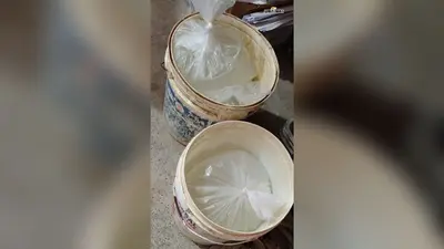 सारण: पानापुर में महुआ शराब बरामद, पुलिस की दबिश पड़ते ही फरार हुए तस्कर, चार पर केस दर्ज