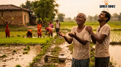 झमाझम बारिश से धान की फसल को मिली संजीवनी, किसानों के चेहरे पर लौटी रौनक