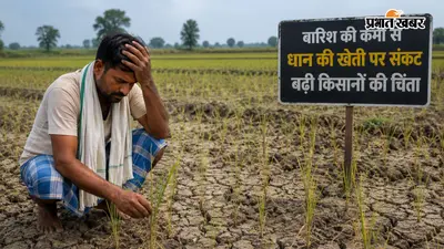 जहानाबाद : सावन में भी नहीं बरसे बादल, सूखने लगी धान की फसल, किसानों की बढ़ी चिंता