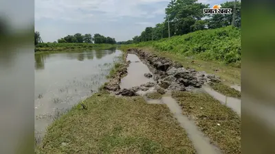 1.5 करोड़ की निर्माणाधीन सड़क में धांधली, नहर का सुरक्षा बांध काटकर डाली जा रही मिट्टी; जेई बोले- होगी जांच