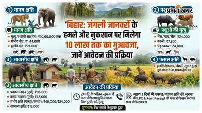 बिहार: जंगली जानवरों के हमले और नुकसान पर मिलेगा 10 लाख तक का मुआवजा, जानें आवेदन की प्रक्रिया