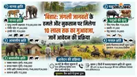 बिहार: जंगली जानवरों के हमले और नुकसान पर मिलेगा 10 लाख तक का मुआवजा, जानें आवेदन की प्रक्रिया