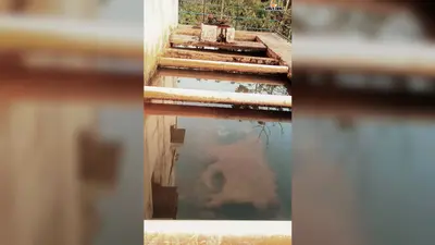 जलापूर्ति केंद्र से हो रहा लाल पानी सप्लाई, उपभोक्ता नाराज
