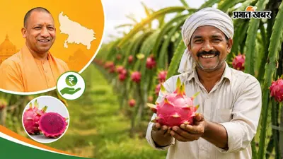 एक बार लगाएं, 30 साल तक कमाएं, ड्रैगन फ्रूट की खेती पर योगी सरकार दे रही 1.62 लाख की सब्सिडी