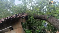 पेड़ गिरने से मकान क्षतिग्रस्त, प्रशासन से सरकारी सहायता की गुहार