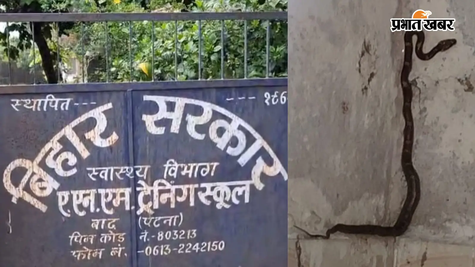 नर्सिंग छात्राओं पर सांपों का कहर, जर्जर हॉस्टल से दहशत नर्सिंग छात्राओं पर सांपों का कहर, जर्जर हॉस्टल से दहशत