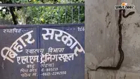 पटना: बाढ़ नर्स ट्रेनिंग स्कूल के हॉस्टल में लगातार निकल रहे जहरीले सांप, डर के साए में रह रहीं छात्राएं